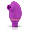 2 in 1 Design Vibrations Clitoral Mute Vibrator with Egg - xbelo
