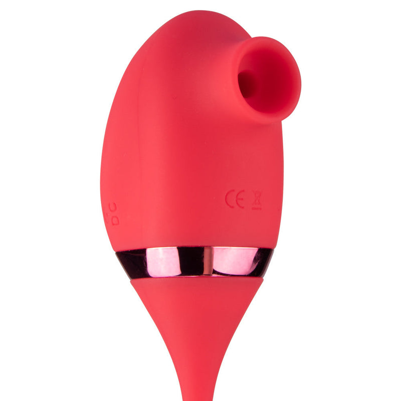 Waterproof G-Spot Clitoris Stimulator with egg vibe - xbelo