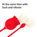 2 in 1 Long Rose Sucking Vibrator Red - xbelo