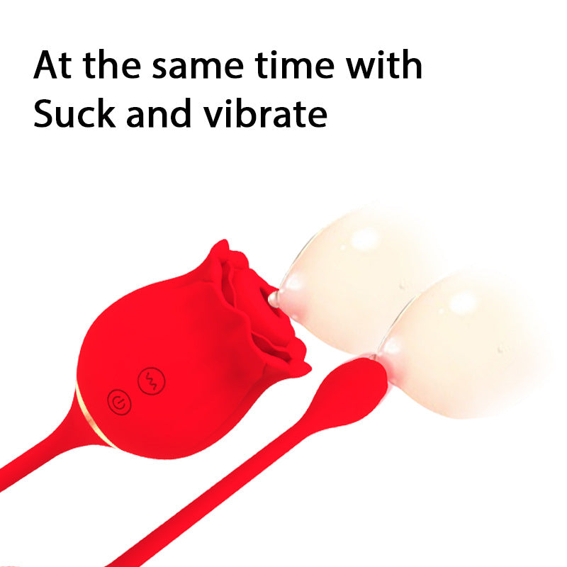 2 in 1 Long Rose Sucking Vibrator Red - xbelo