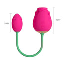 The Rose Toy Egg G Spot Stimulator - xbelo